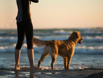 Hund und Mensch am Strand, Hintergrund Ostsee mit Wellengang