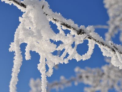 Raureif-Fäden an Zweig